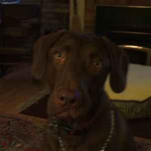 Meet your Posher, Deb